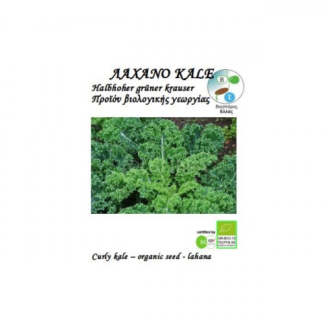 BIO Λάχανο Kale Halbhoher grüner Krauser 0,1gr